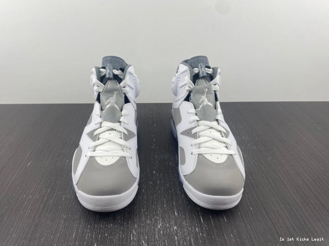 Jordan 6 Grey CT8529-100 Air Cool 0721